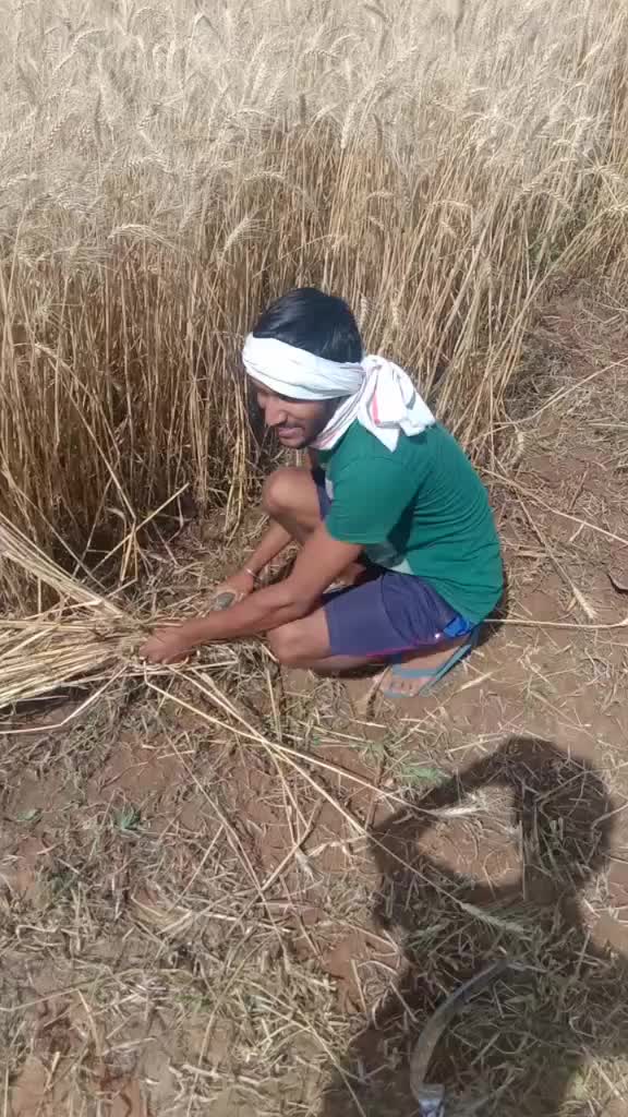 @DAYA MEENA