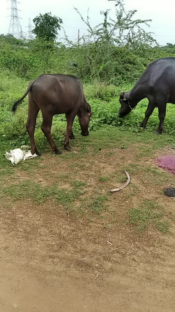 @😃😎लोकेश यादव😃😍