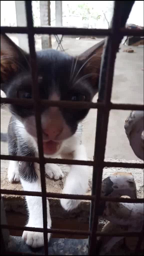 @shwetha_udhay_