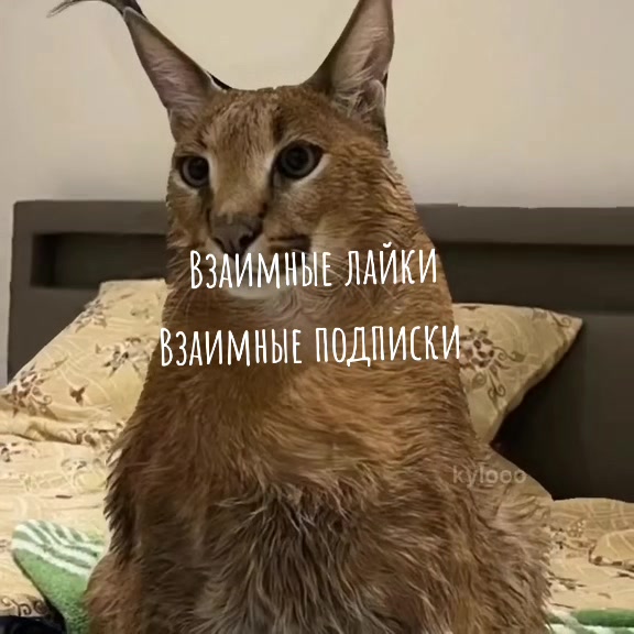 @🤍