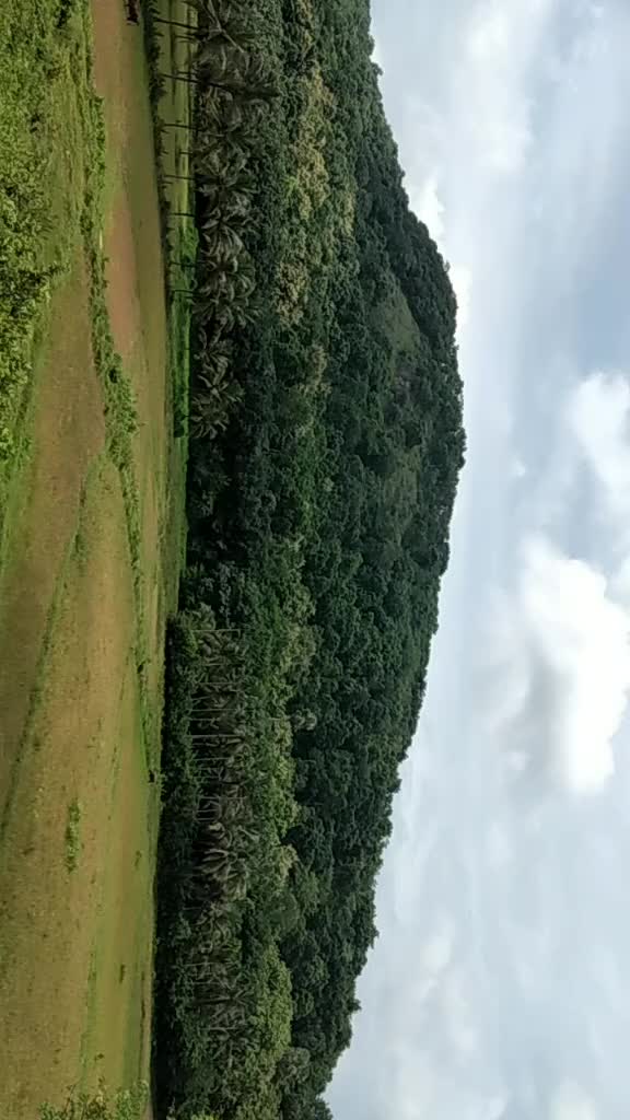 @user2019831926667