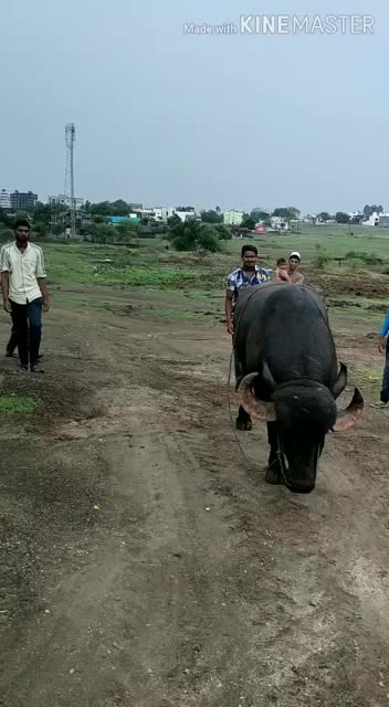 @Mukarm Khan