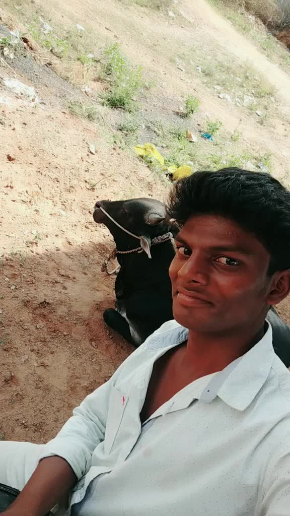 @maheshwaran