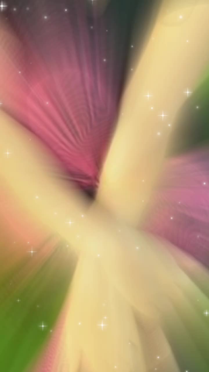 @user 123456