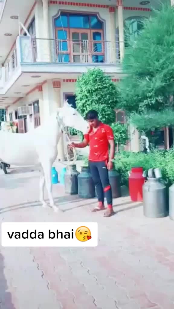 @vivek singh