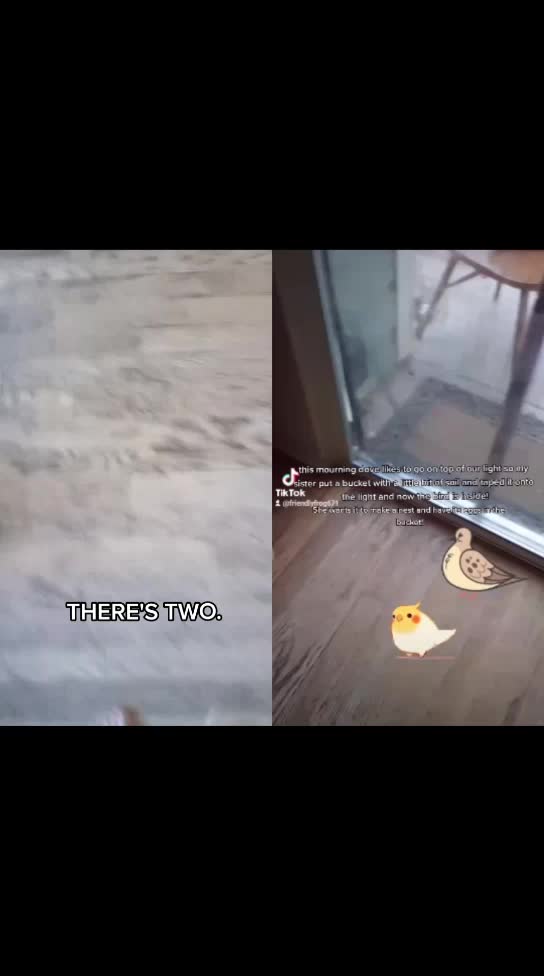 @AnonymousAlienThingz