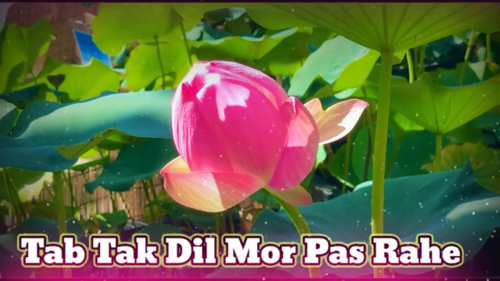 @Vikas Raj