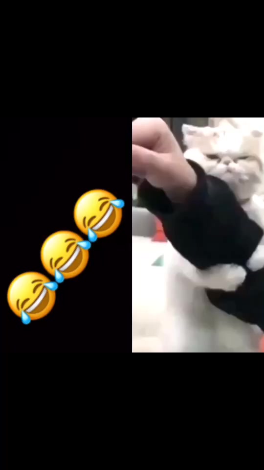 @shot10