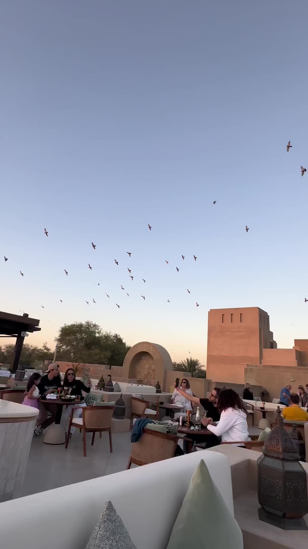 @Maya 🦦