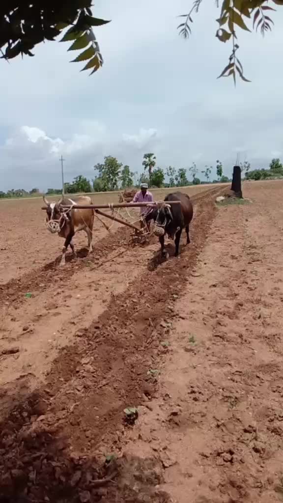 @😍- anil_yadav-😍