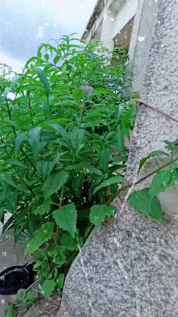 @Aççhü..😍