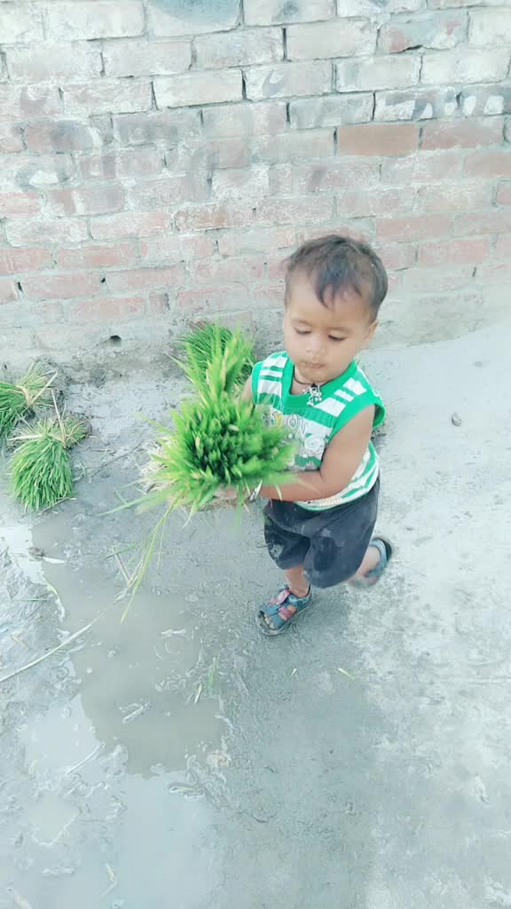 @ohi Guru