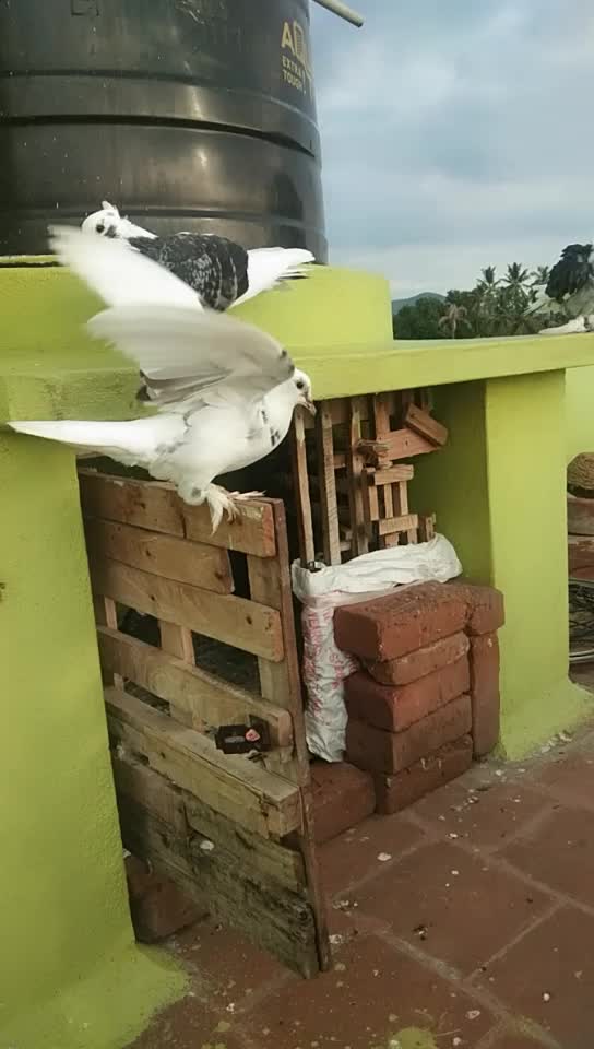 @Kanaga Raj