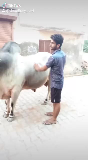 @vimal mehla ror boy