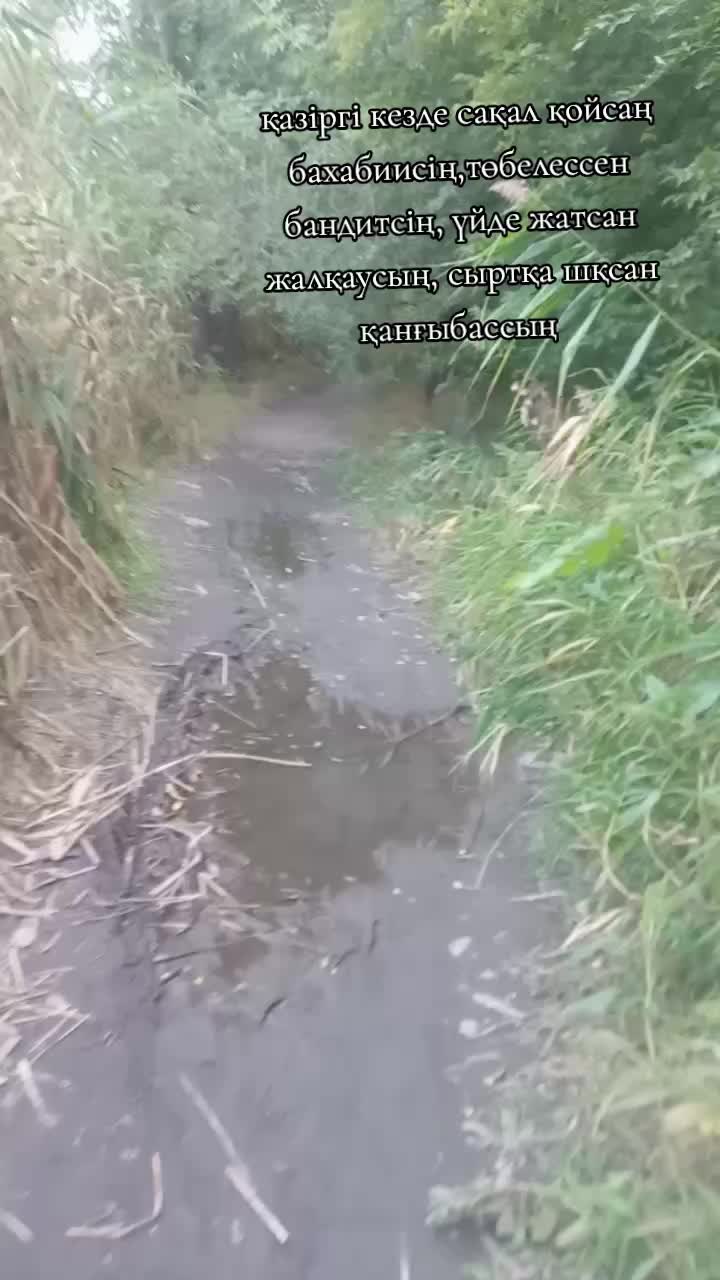 @Андабаев Ілияс