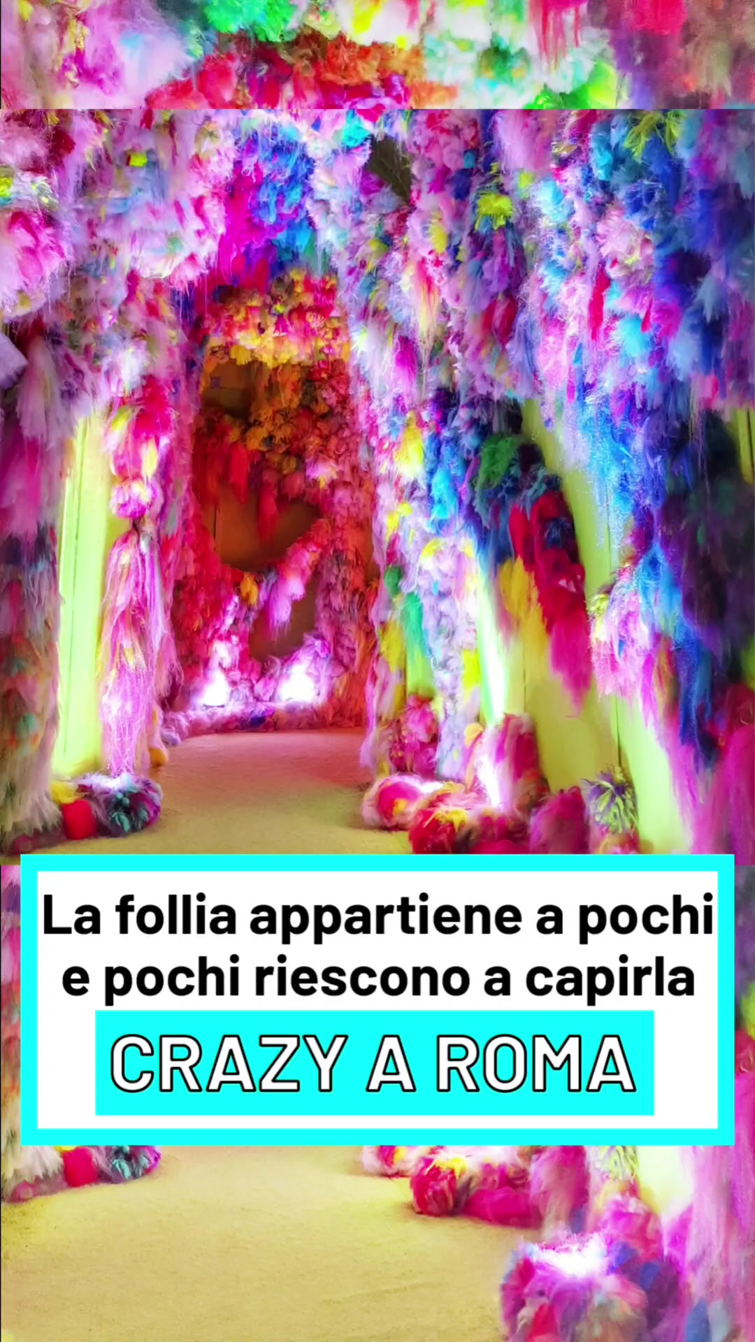@viaggiareapiedipari