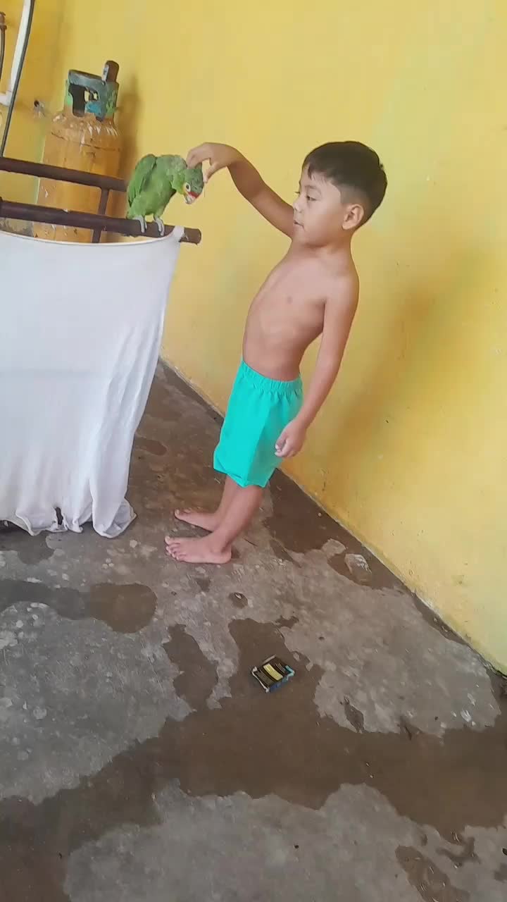 @Andrea Lopez