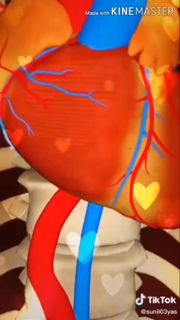 @SUBHO࿐Gaming YT