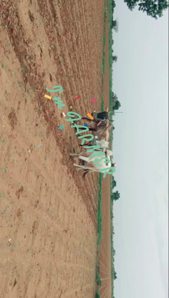 @Bogaraju Anil kumar