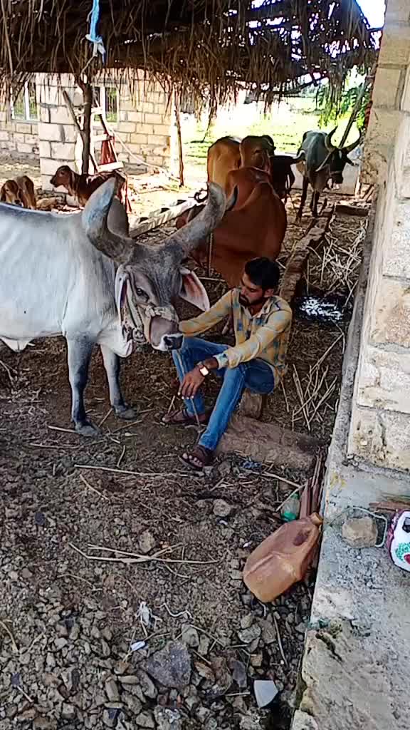 @Ravliya Dinesh