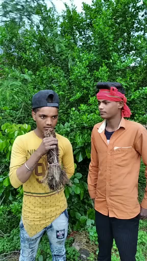 @Dinesh lodhi team07