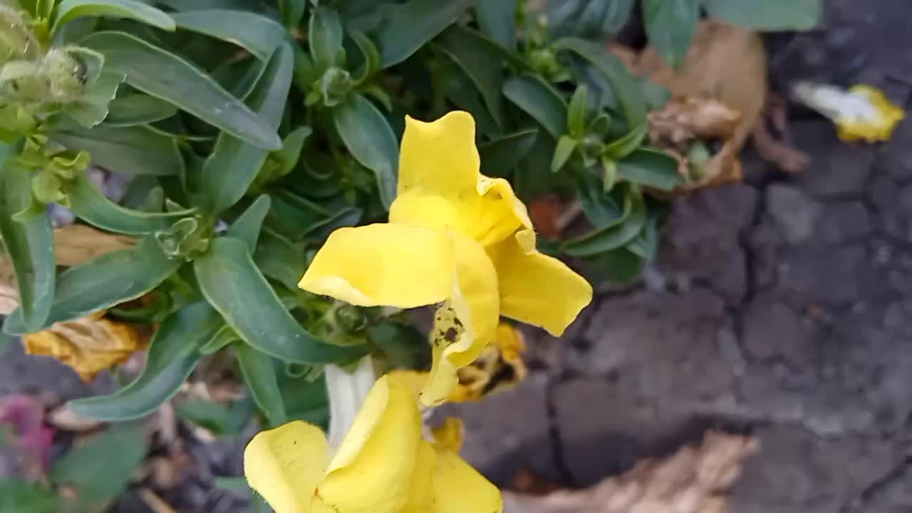 @Maxim080413