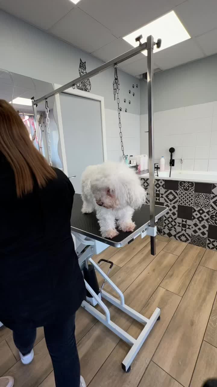 @Groomer ✃ 76
