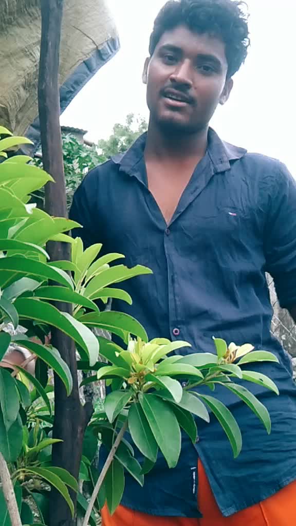 @rahulkharate79294