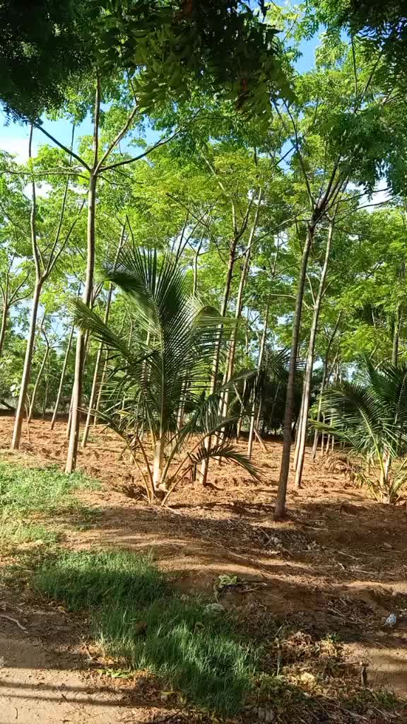 @Sakthi Vel pulsar