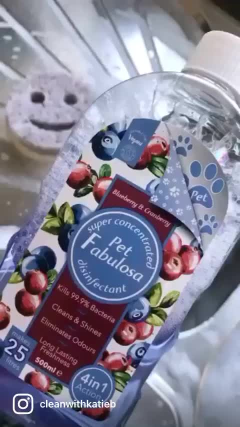 @Cleanwithkatieb