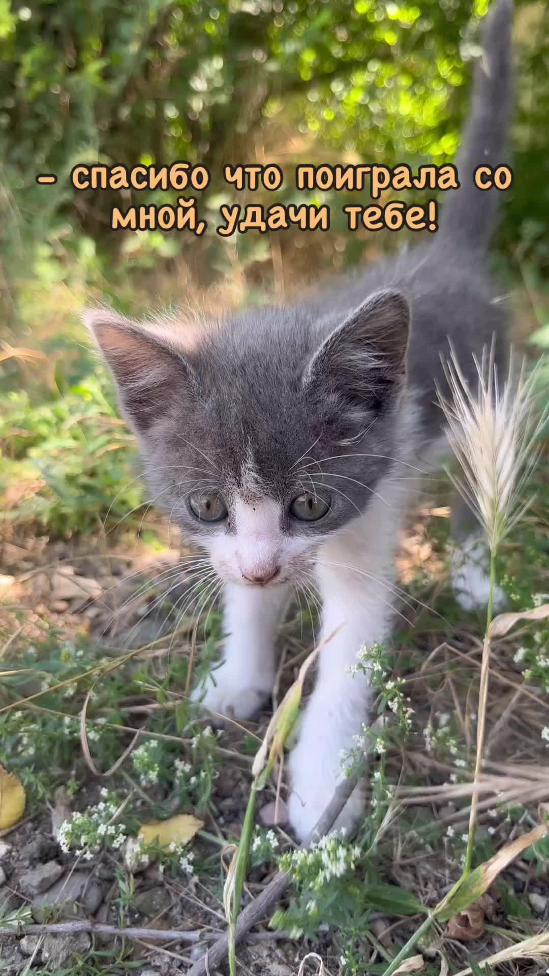 @Артём