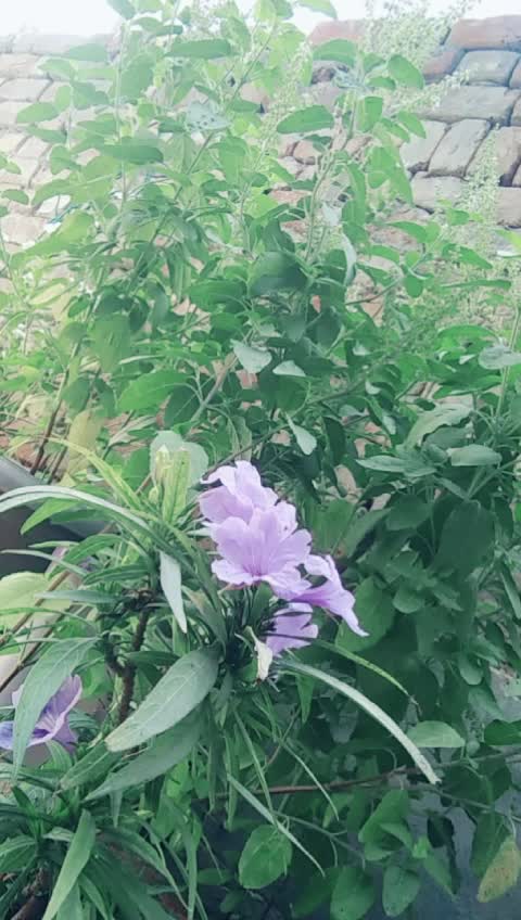 @Bhardwaj