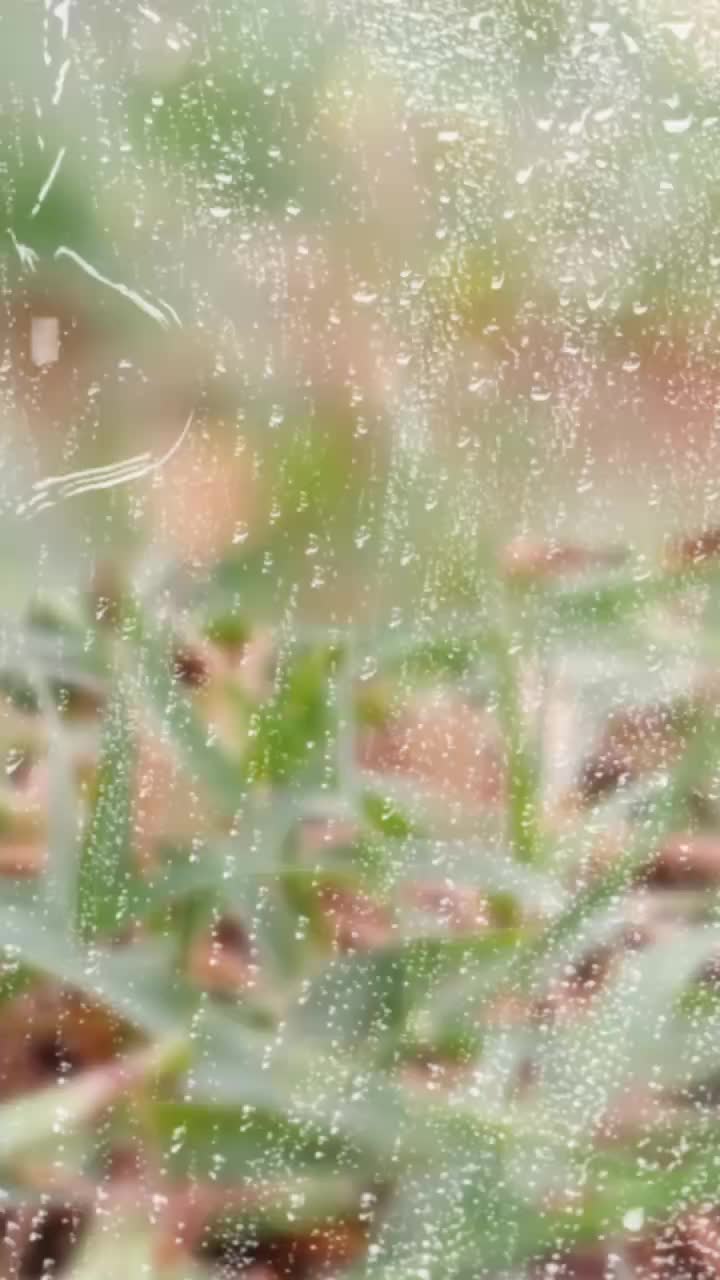 @rebalseshu