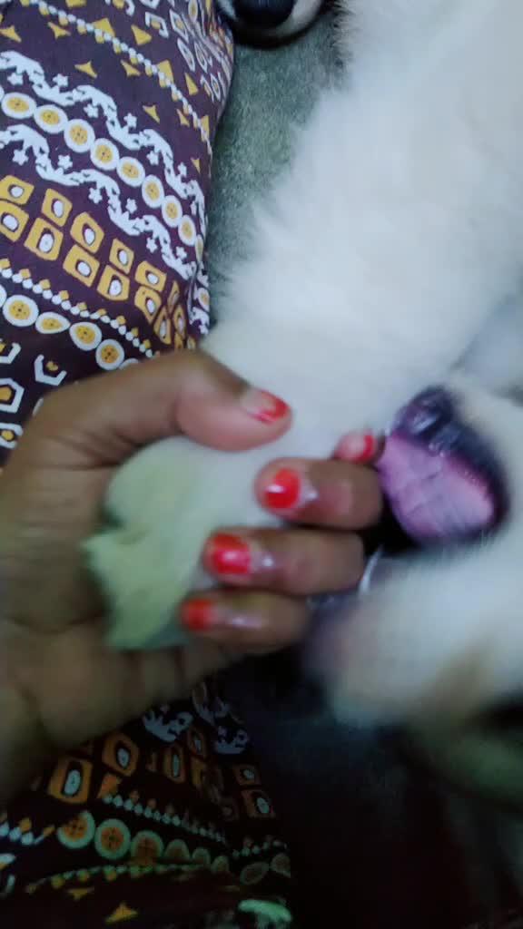 @Reshma Barik