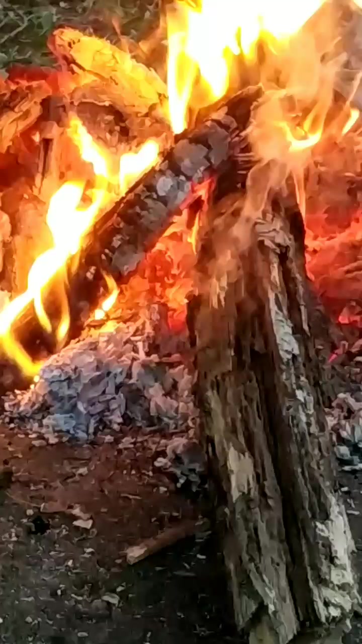 @SuperNovaRegenerative