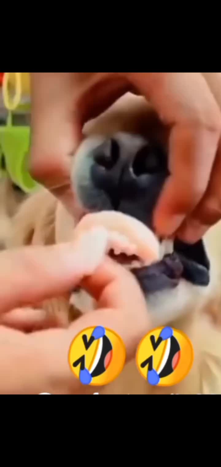 @Dr_sheraz_official 🦷