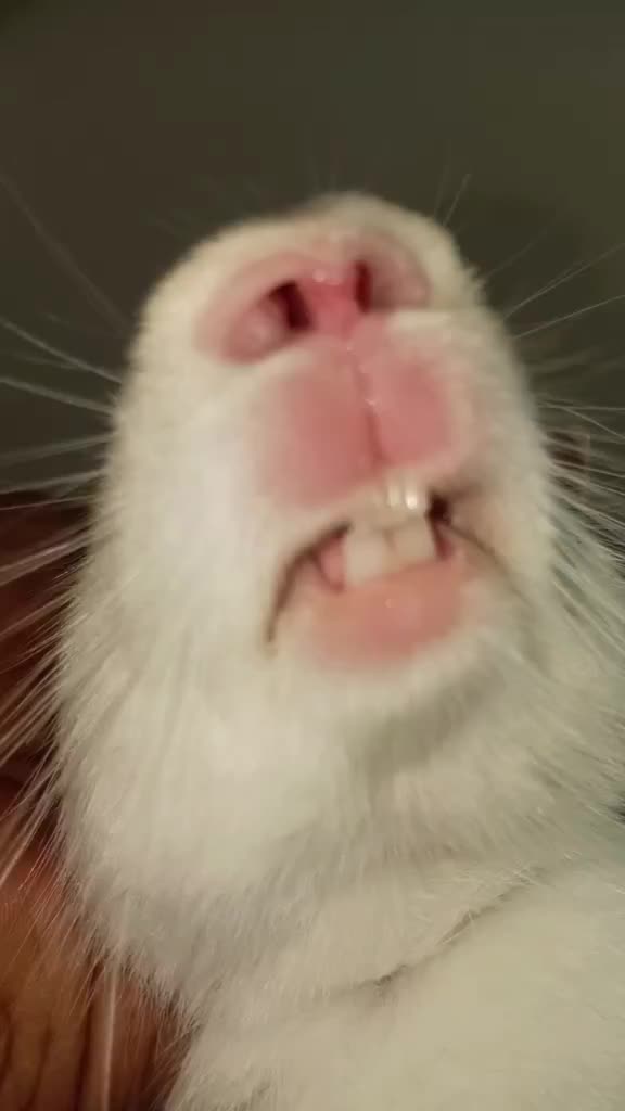 @ArterKriPen
