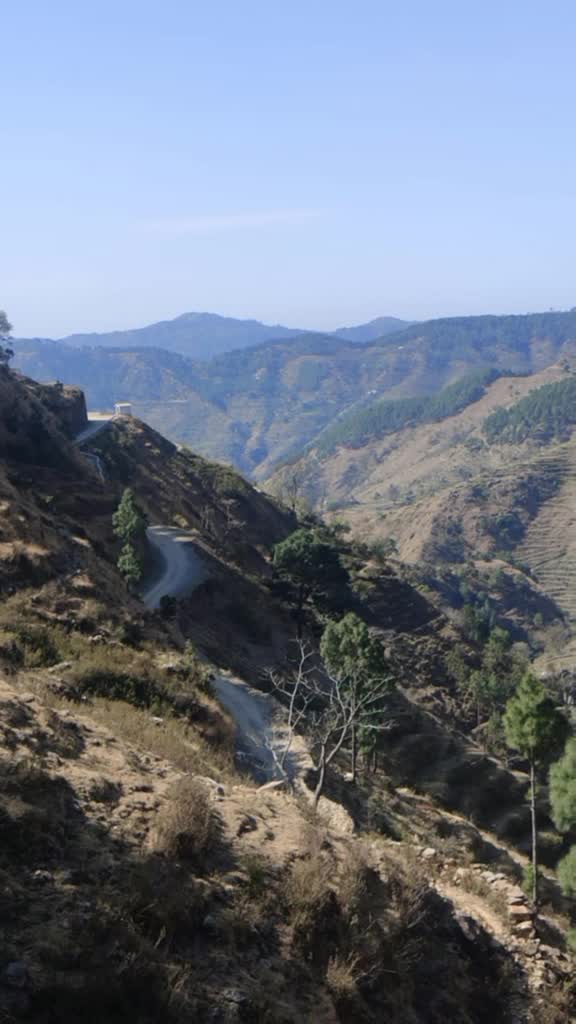 @pahadi bula