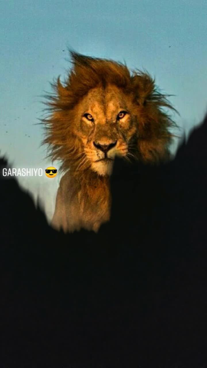 @MR. ZALA PRADIPSINH