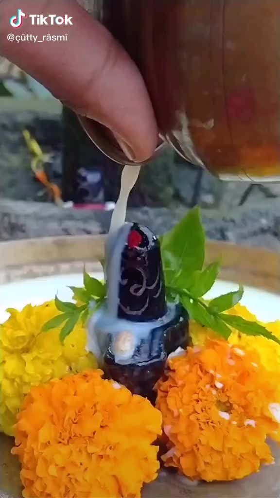 @Pooja Arekar
