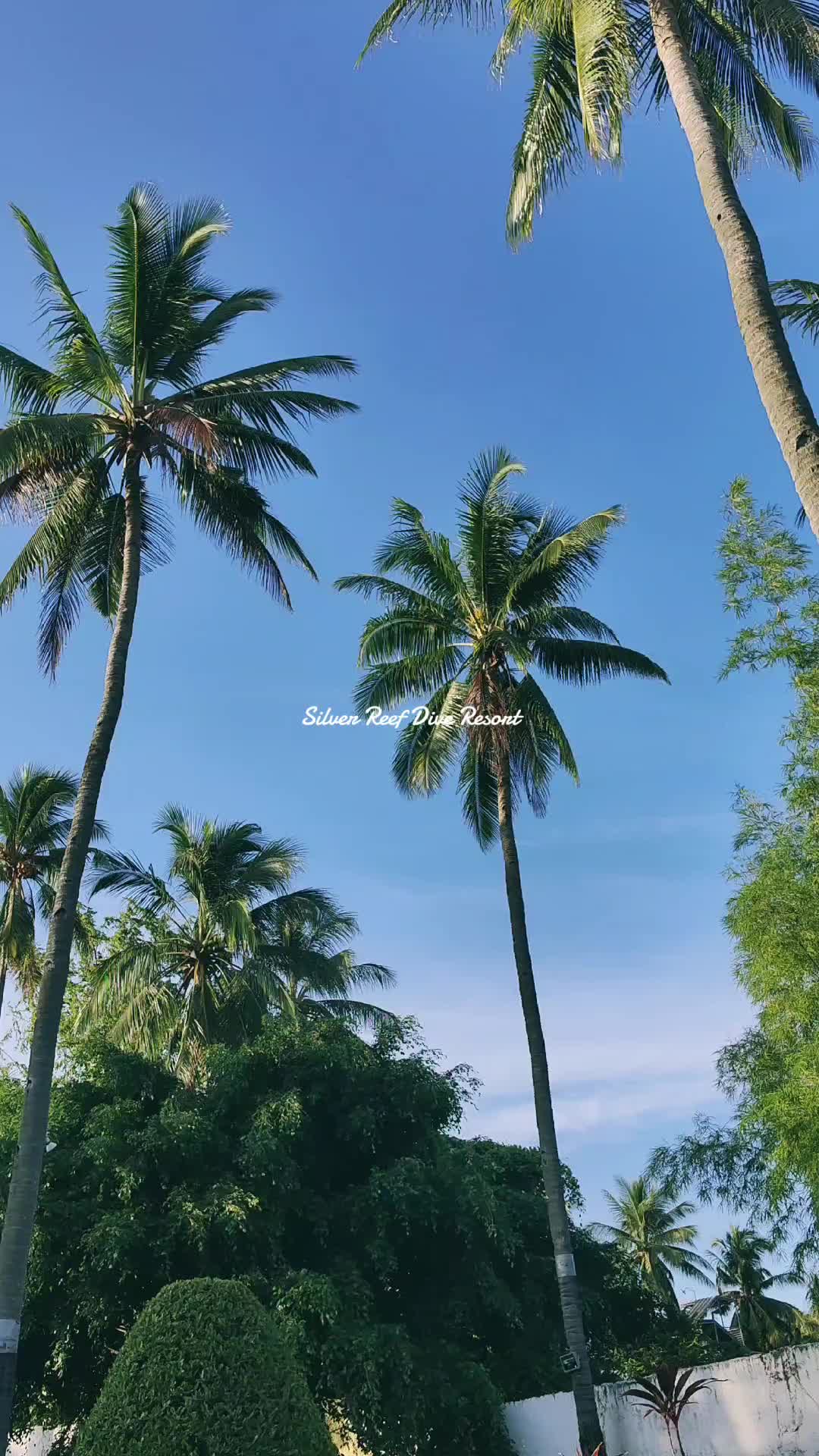 @Geeorbit