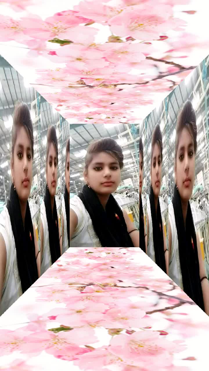 @shakil Dhol