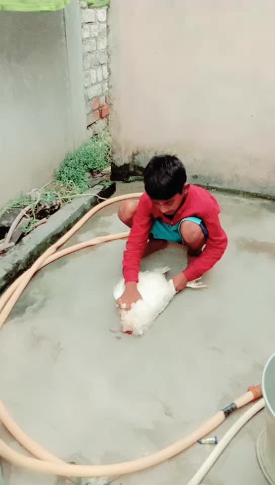 @Mahesh Yadav