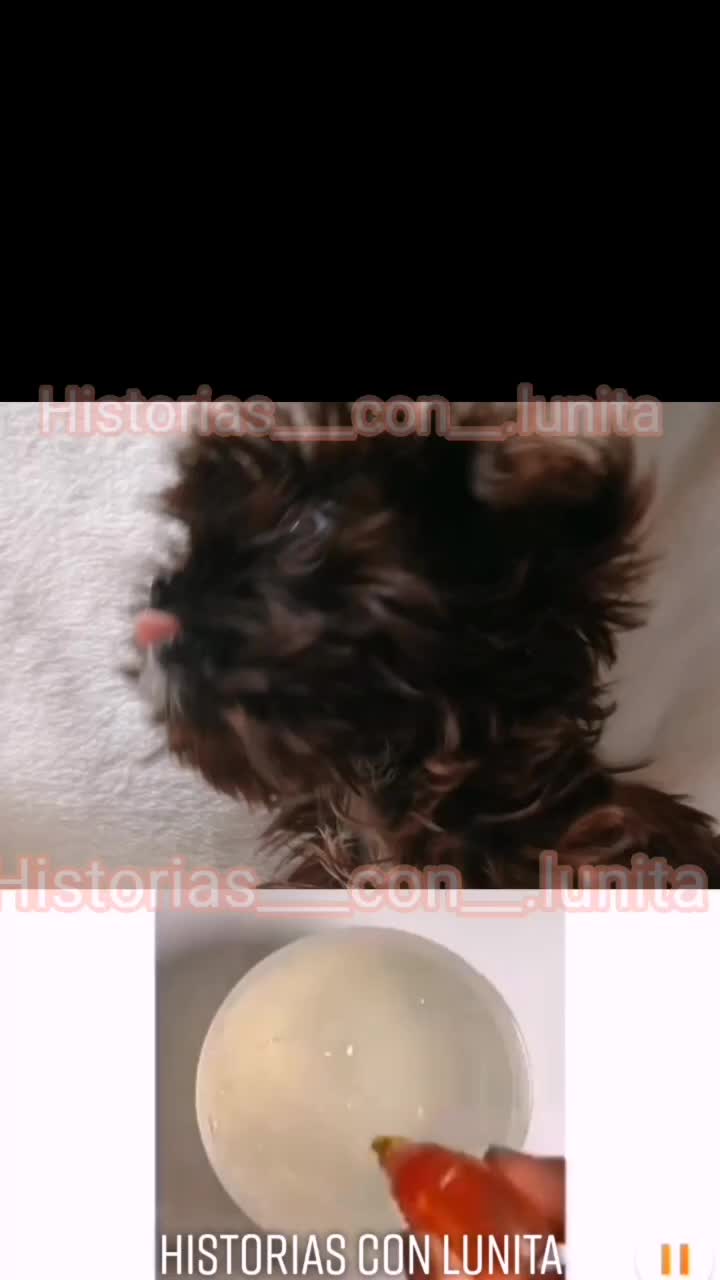 @🐕Meta : 90K