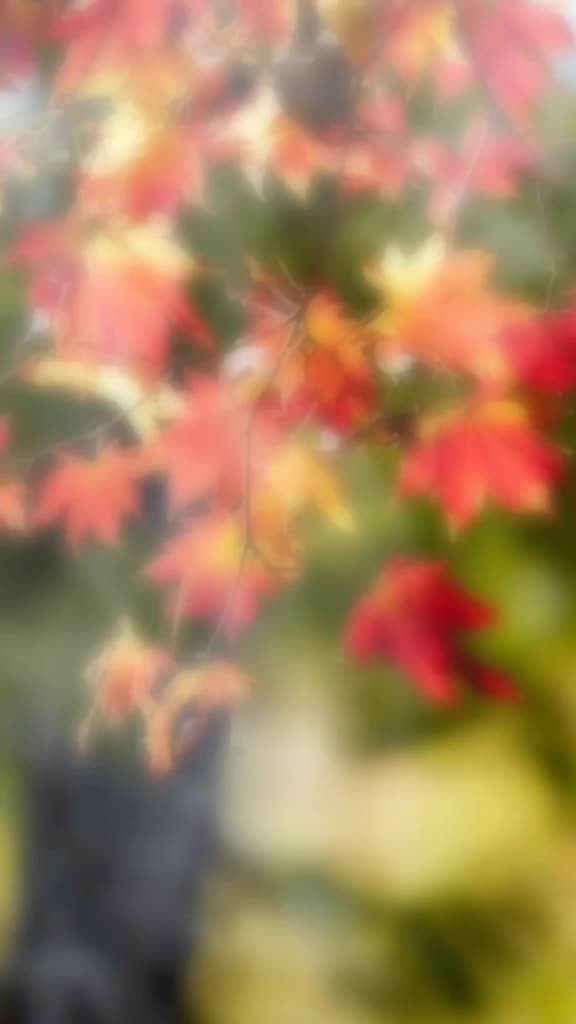 @Sona99