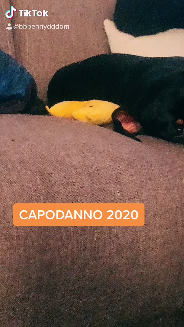 @Benedetta Domenichelli