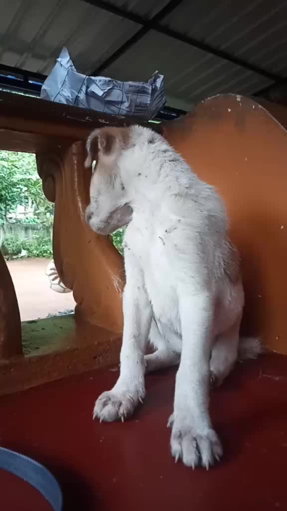 @Prajeesh K
