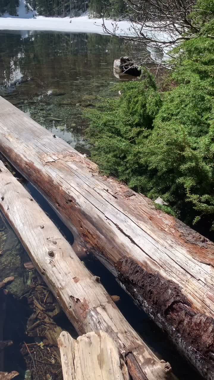 @PNW-Hikes