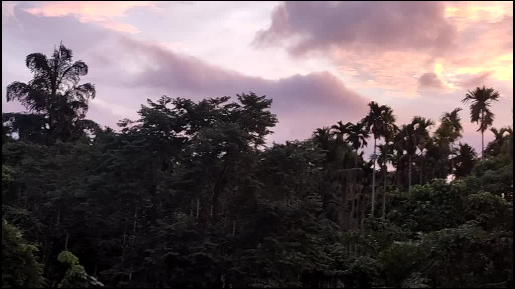 @user39573728752