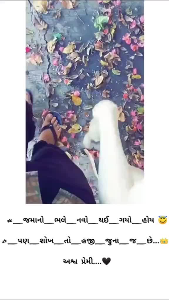 @Kalli.Dafda